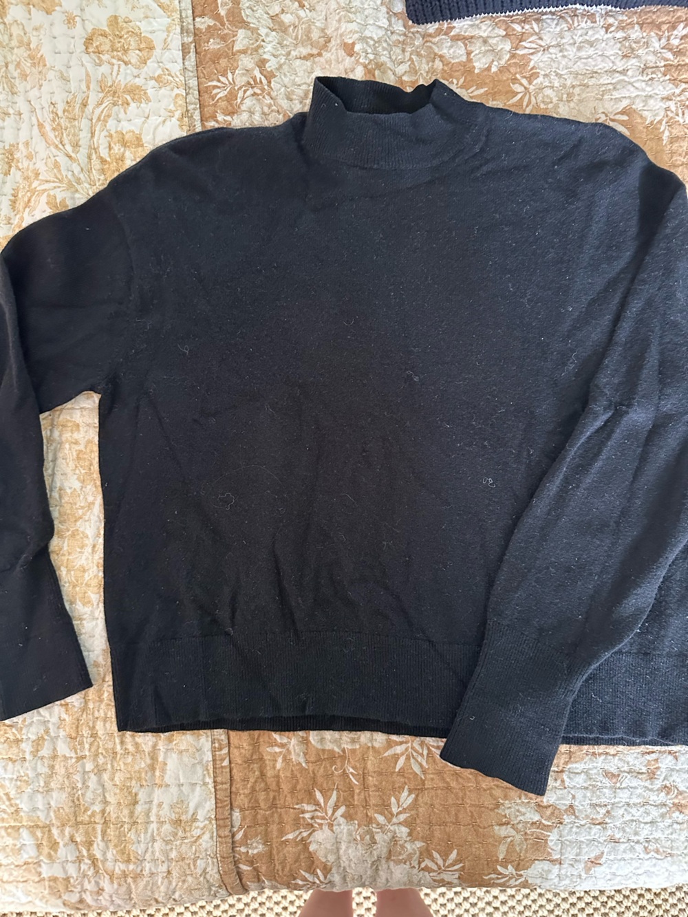 Everlane Cropped Cashmere Mock Neck